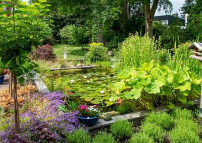 bosrijke tuin met vijver (14)