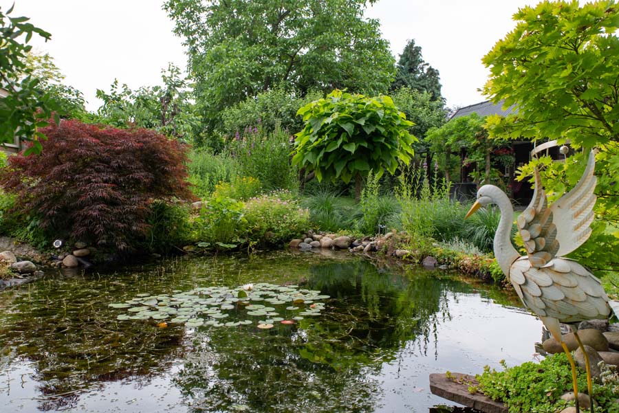 bosrijke tuin met vijver (7)