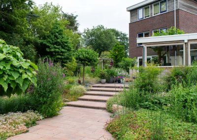 bosrijke tuin met vijver (9)
