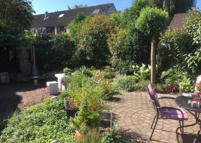 Onderhoudsvrije Tuin Ugchelen De Brinker Tuinen 2