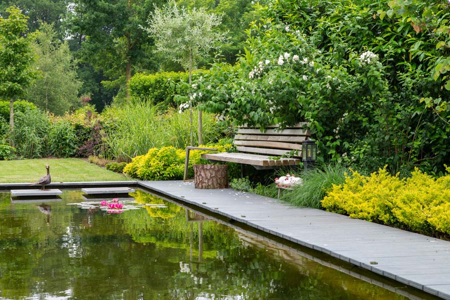 tuin met lange vijver (27)