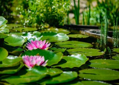Tuinvoorbeeld Groene Tuin Met Houten Overkapping De Brinker Tuinen 12