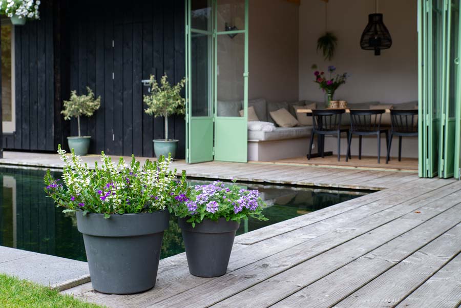 groene tuin met zwemvijver en overkapping (11)